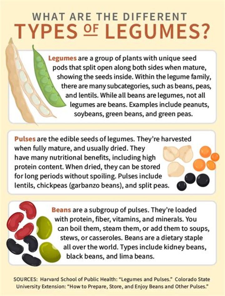 What makes a legume a legume?
