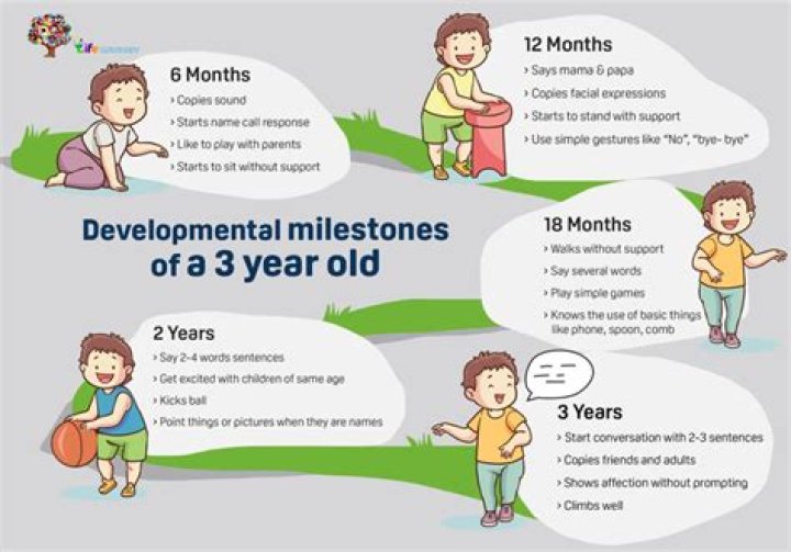 What milestones should a 3 year old have reached?