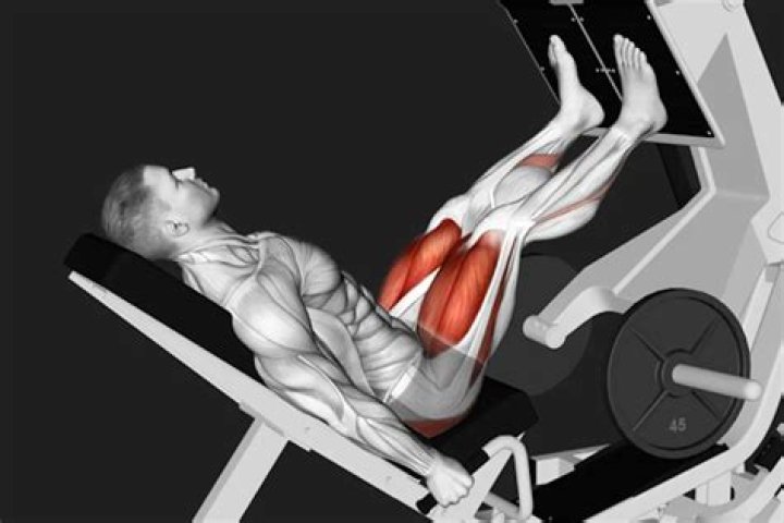 What muscle does the hip lift exercise work?