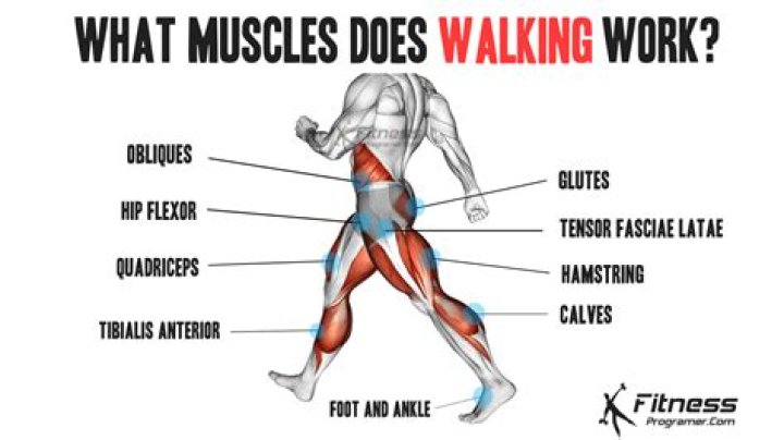 What muscles do stride jumps work?