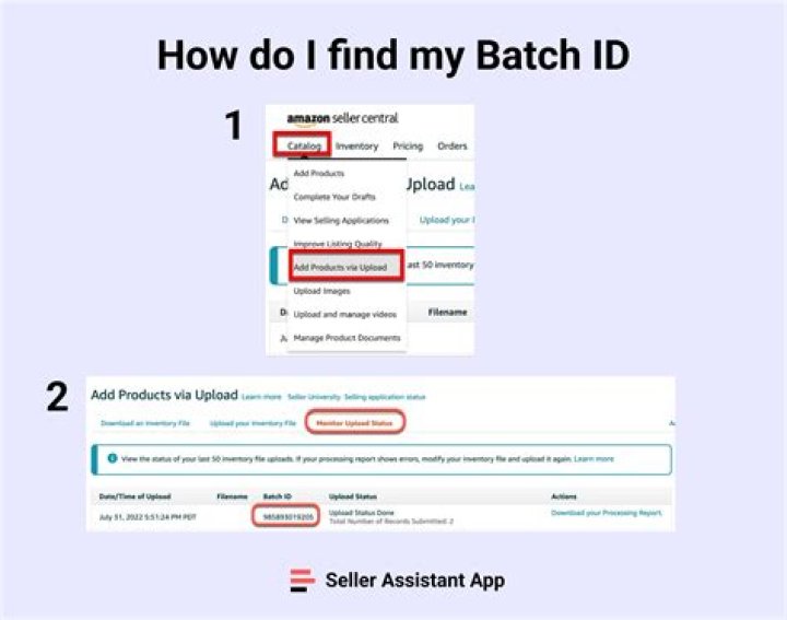 What number is a batch?