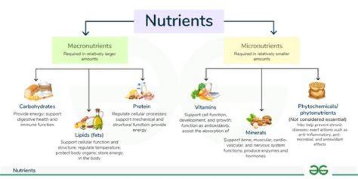 What nutrients work together?