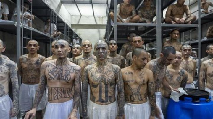 What products are made by us prisoners?