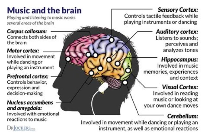 What psychological effect does music have on the brain?