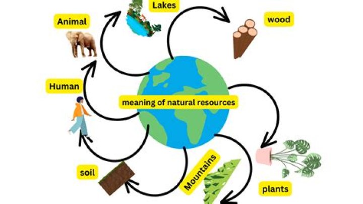 What resources does the UK need?
