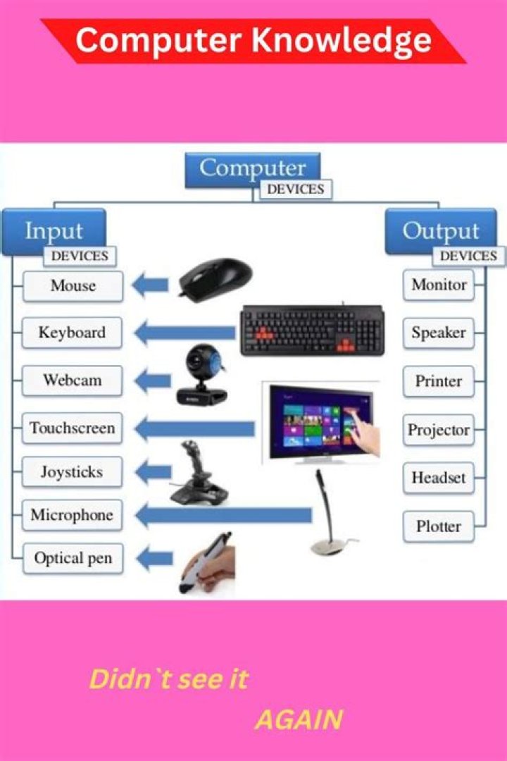 What should I fill computer knowledge in IBPS PO?