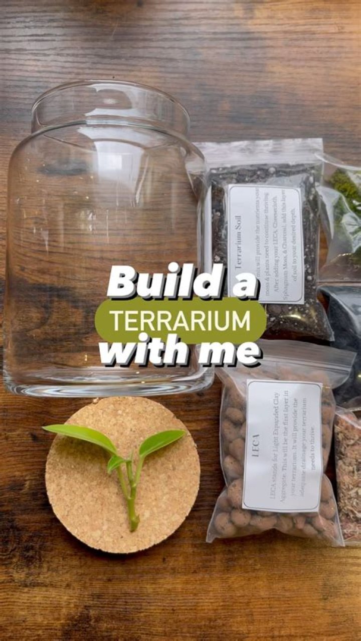 What terrarium means?