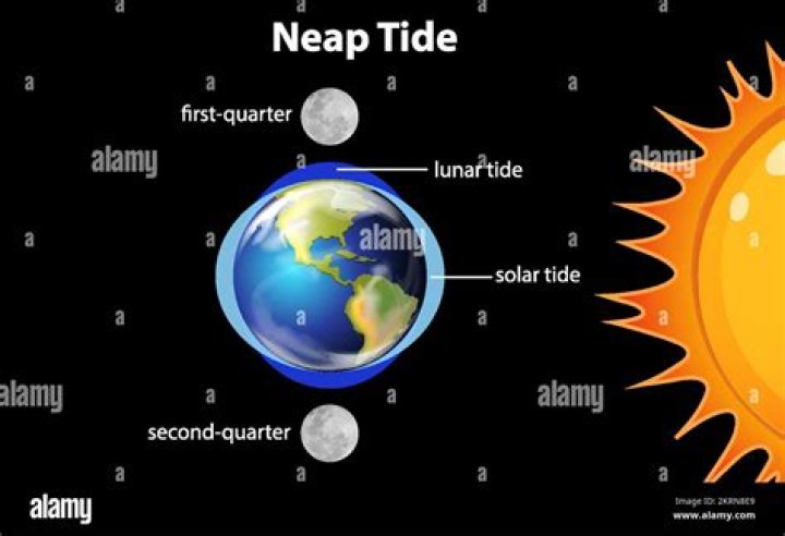 What time does the tide come in at Seaton Sluice?