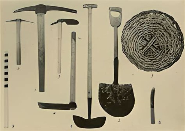 What tools did archaeologist use?