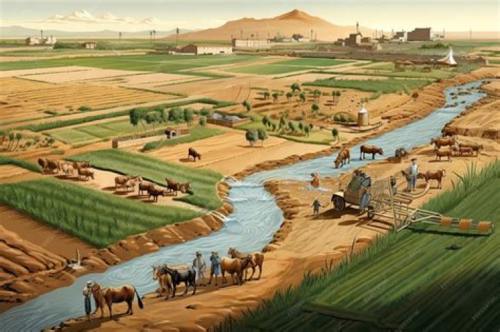 What was Mesopotamia food supply?