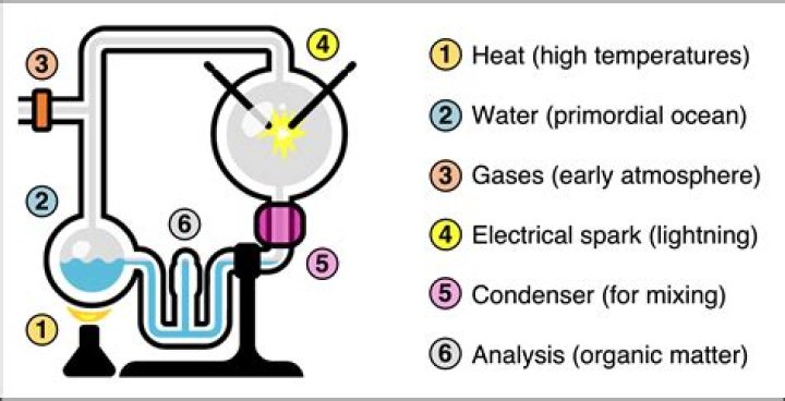 What was missing from the Miller Urey experiment?