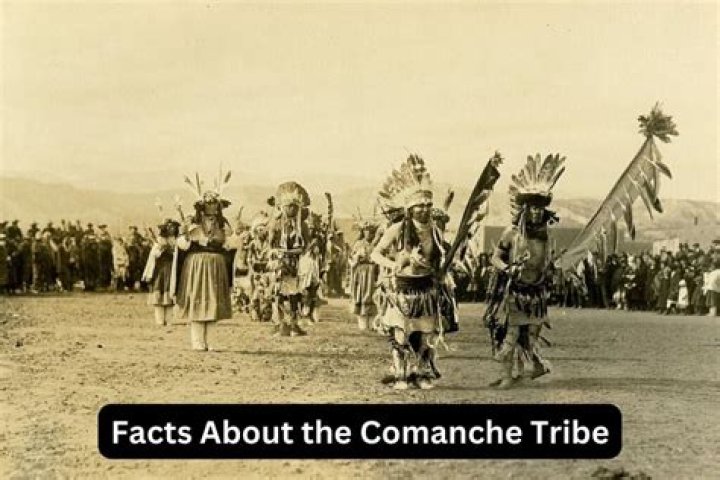 What was the Comanche code word for tank?