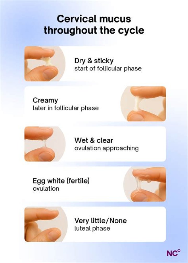 What will discharge look like after conception?