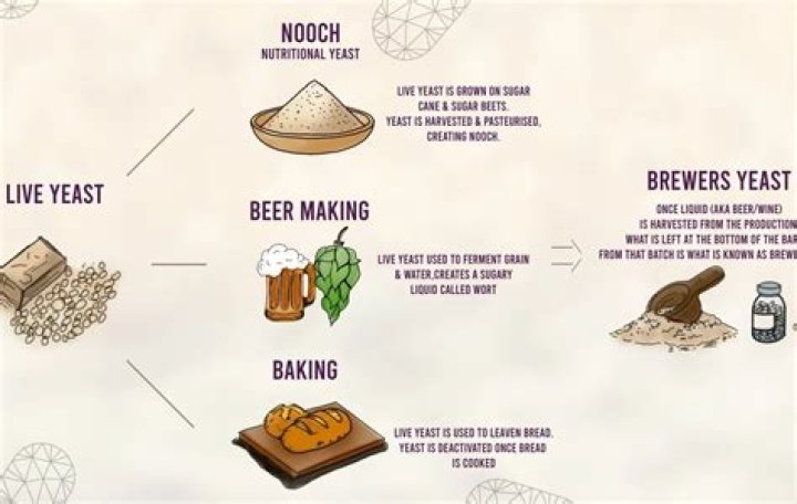 What yeast is used for Hefeweizen?