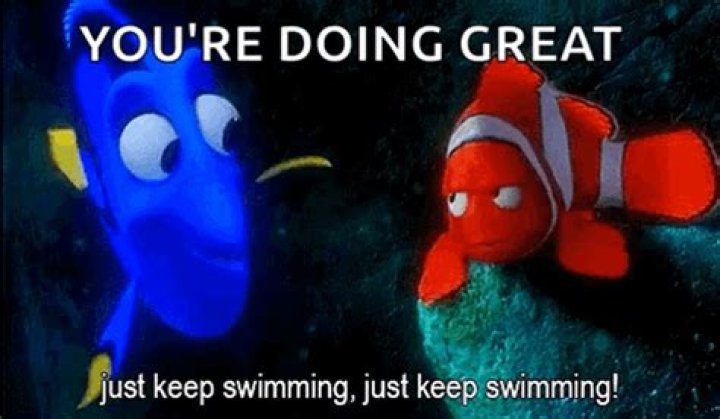 When things get hard Keep Swimming?