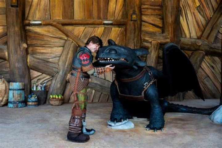 When was toothless born?