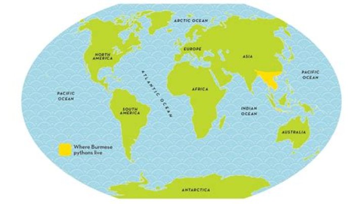 Where are gourami native to?