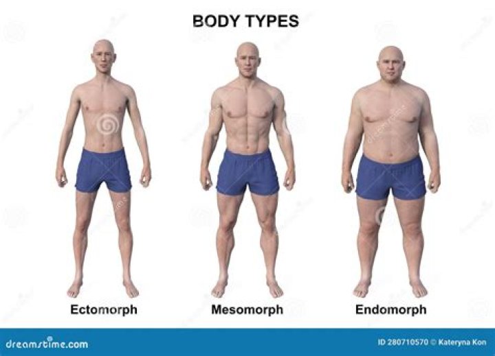 Where can I morph faces?