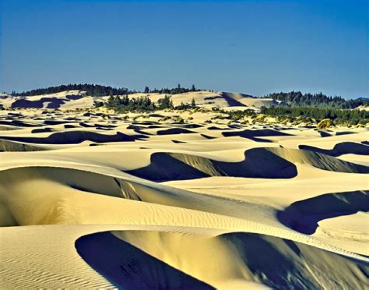 Where can I ride dunes in Oregon?
