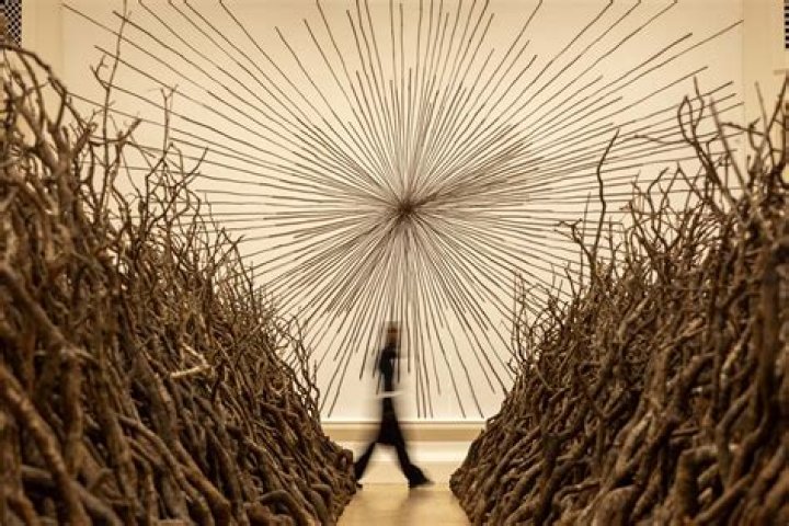 Where can I watch Andy Goldsworthy?