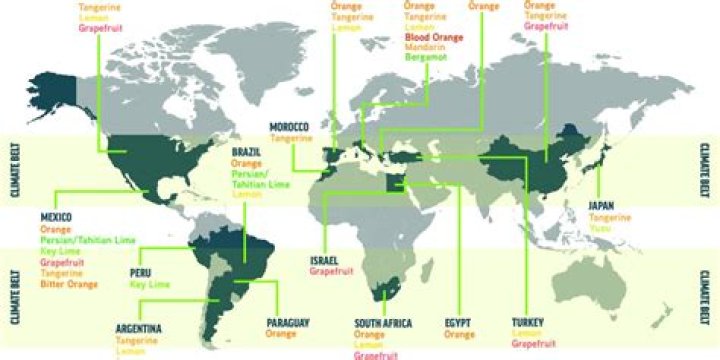Where did oranges originally come from?