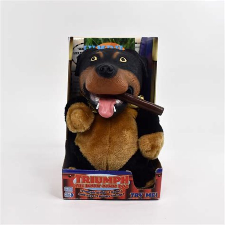 Where did Triumph the Insult dog come from?