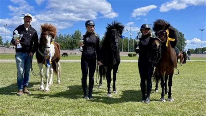 Where does Leksands Idrottsforening play?