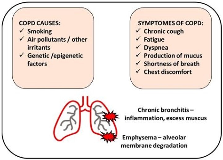 Where is COPD more common in the world?