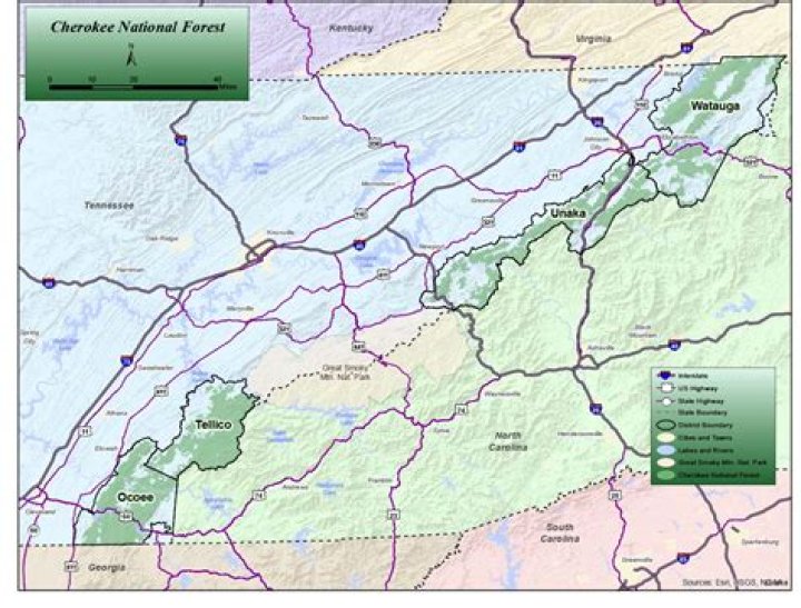 Where is the Cherokee National Forest located?