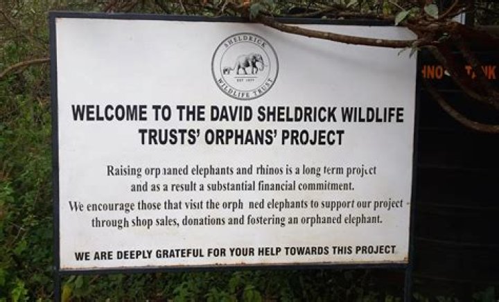 Where is the David Sheldrick Wildlife Trust located?