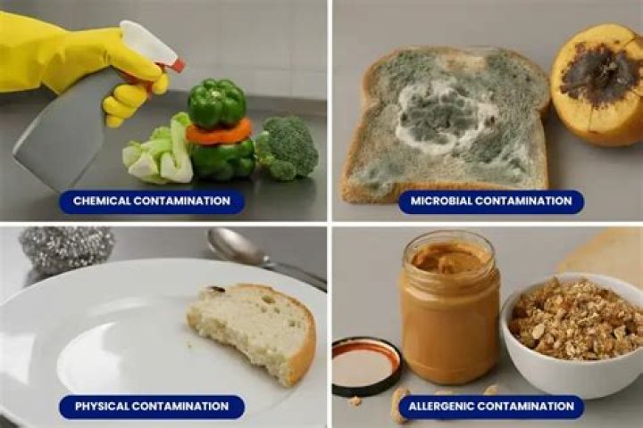 Which act by a food handler can contaminate food?