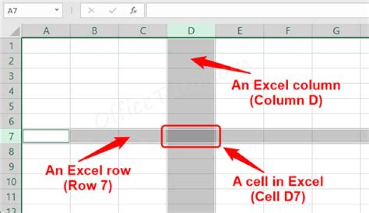 Which are columns and rows?