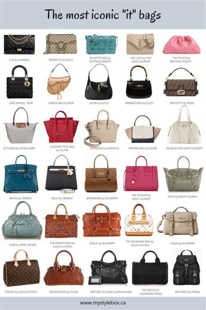 Which brand is best for ladies bag?