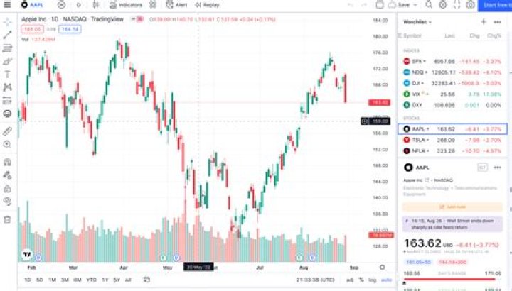 Which course is best for stock trading?