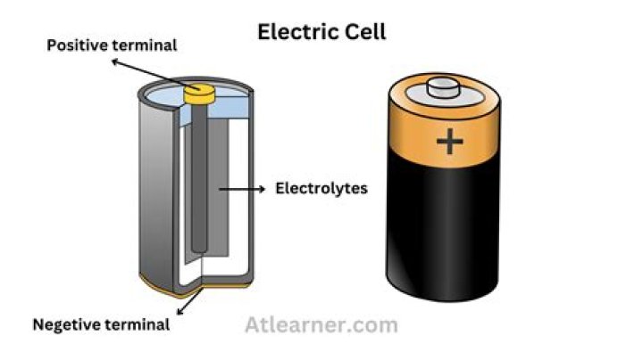 Which fruit is used to make an electric cell?