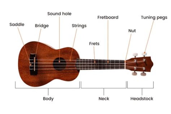 Which is better ukulele or guitalele?