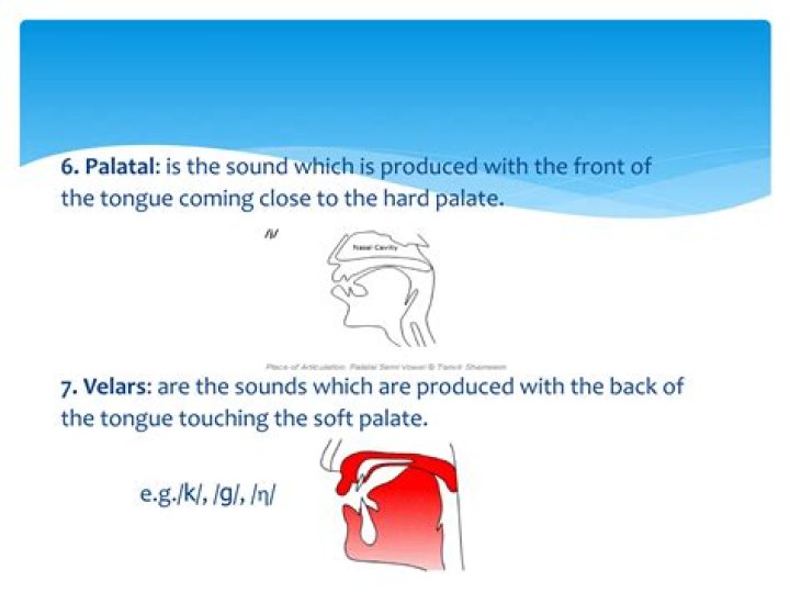 Which sounds are palatal?