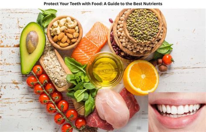 Which teeth tear your food?