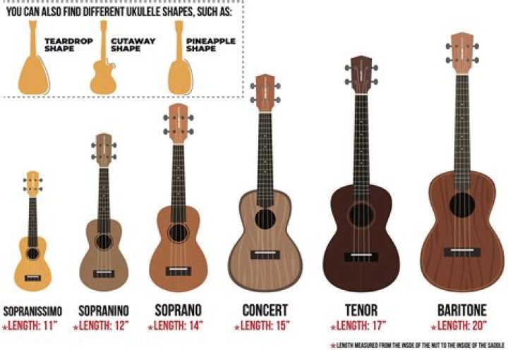 Which ukulele is closest to guitar?
