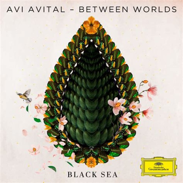 Who is Avi Avital?