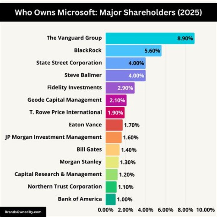 Who owns orocobre?
