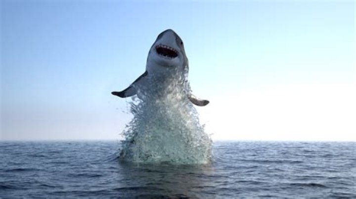 Who really jumped the shark?