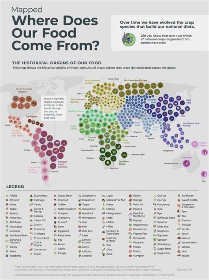 Why do foods come from different countries?