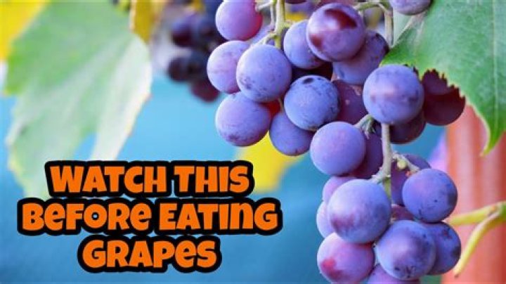 Why do grapes make my mouth feel itchy?