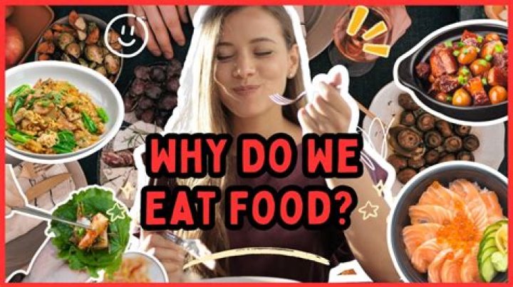 Why do we eat food write any two reasons?