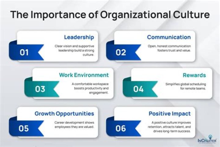 Why is organizational citizenship behavior important?