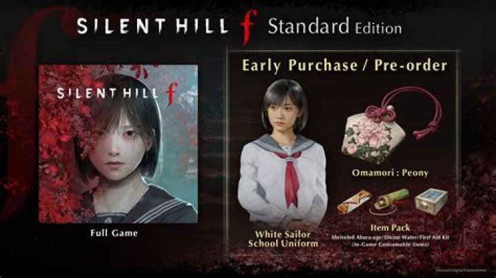 Why is Travis in Silent Hill?