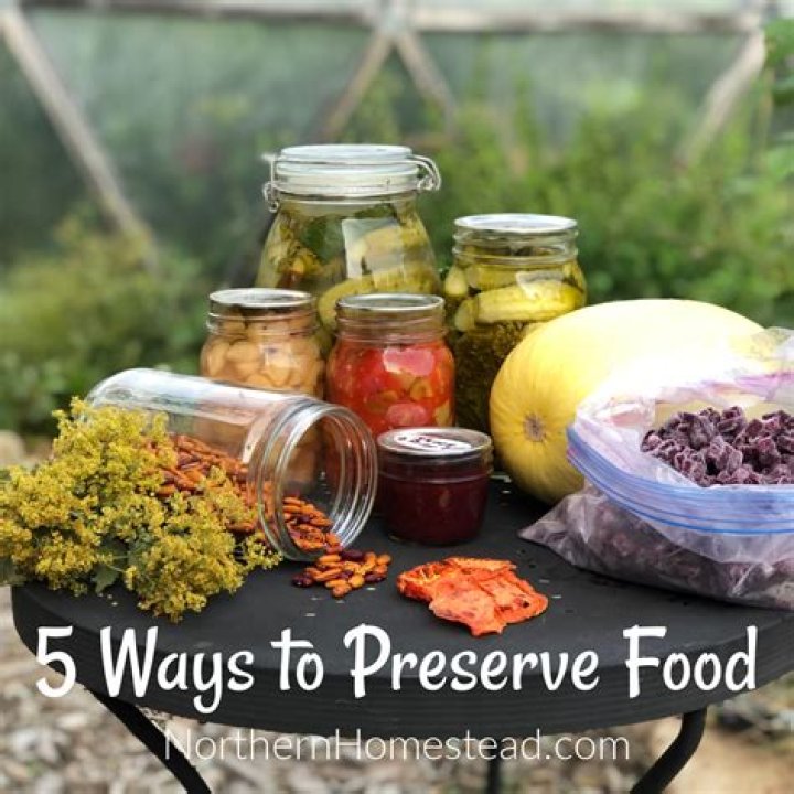 Why should we preserve vegetable?
